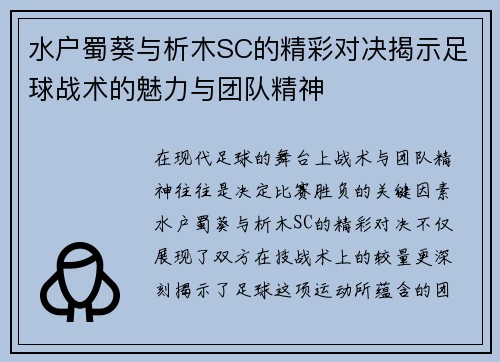 水户蜀葵与析木SC的精彩对决揭示足球战术的魅力与团队精神