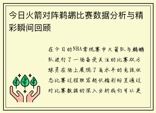 今日火箭对阵鹈鹕比赛数据分析与精彩瞬间回顾