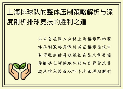上海排球队的整体压制策略解析与深度剖析排球竞技的胜利之道